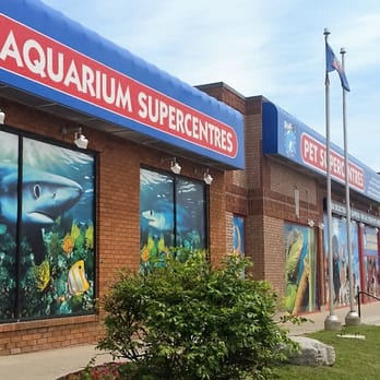 big als aquarium scarborough ontario