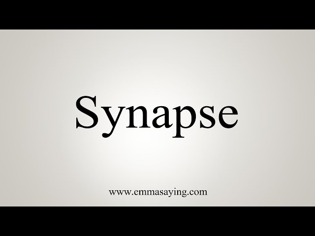 pronunciation of synapse