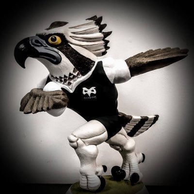 ospreys supporters club