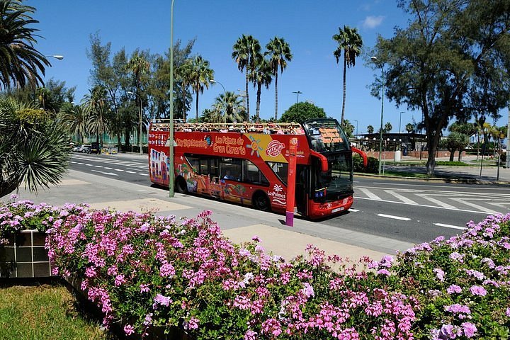 hop on hop off bus las palmas