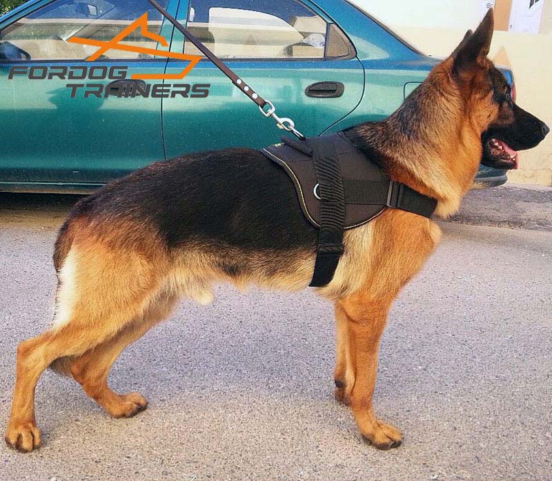 harness for german shepherd