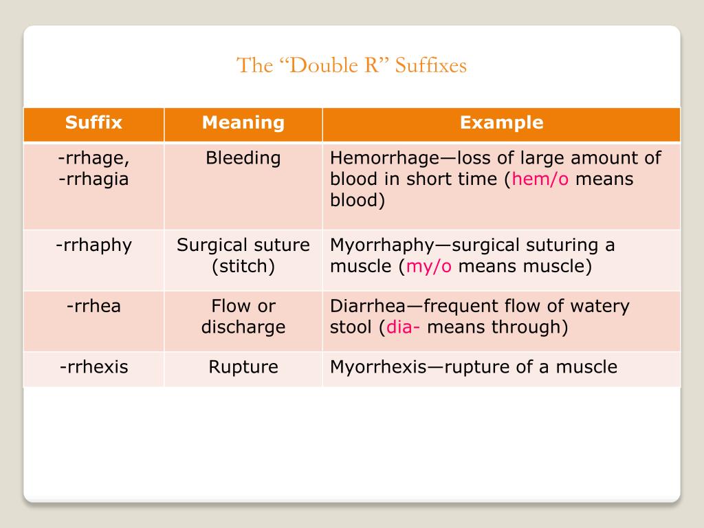 rrhaphy medical term