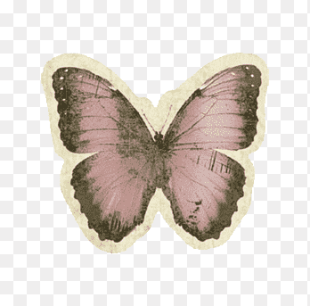 vintage mariposas png