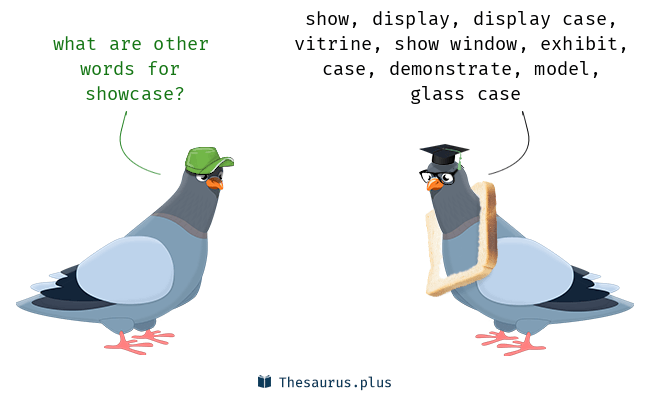 showcase thesaurus