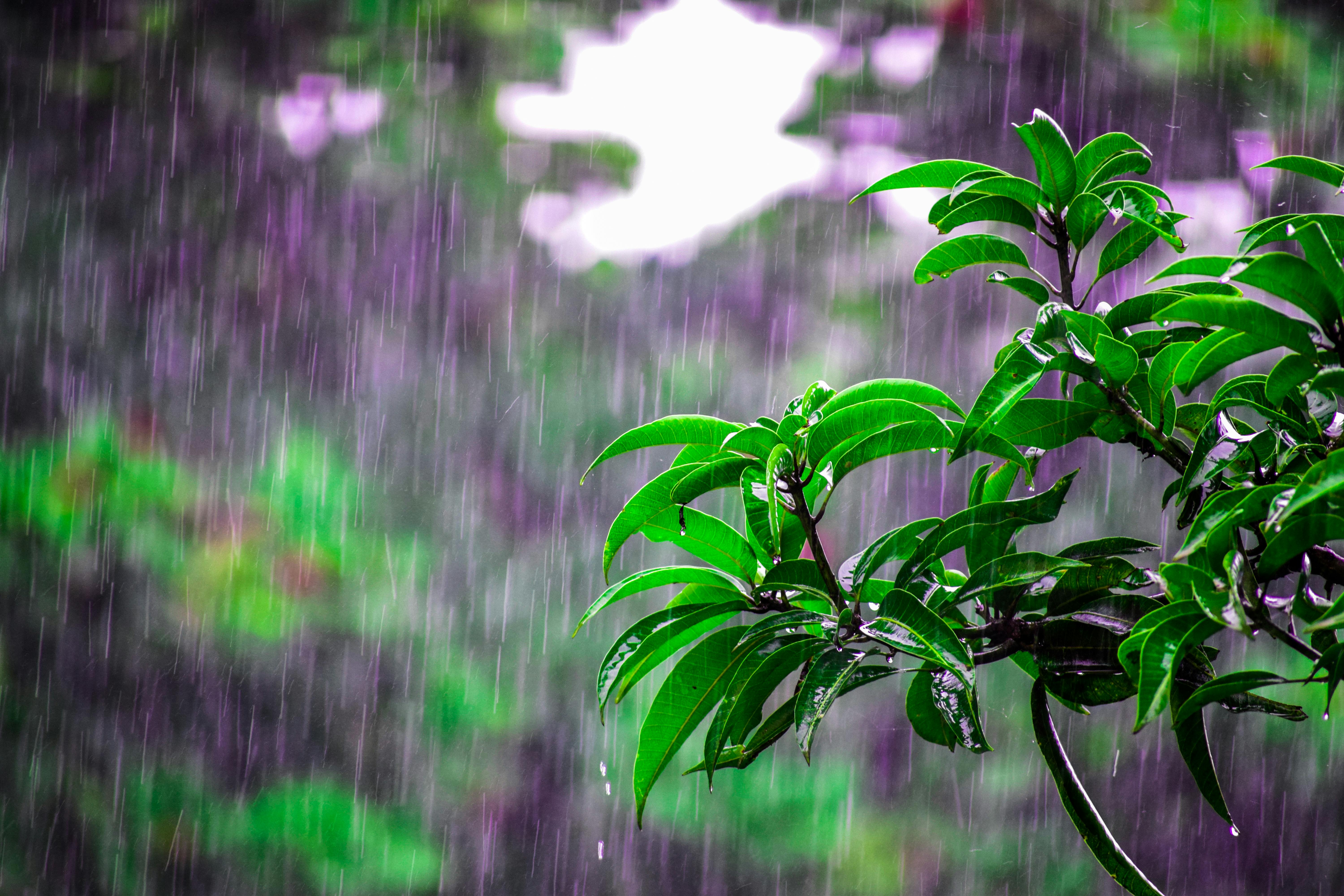 beautiful rainy day wallpaper