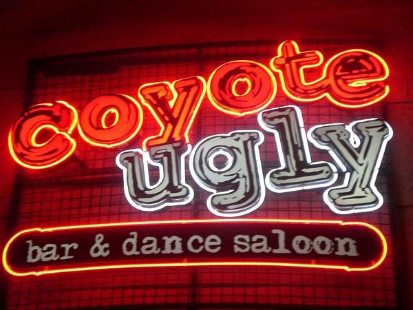 coyote ugly vegas bar