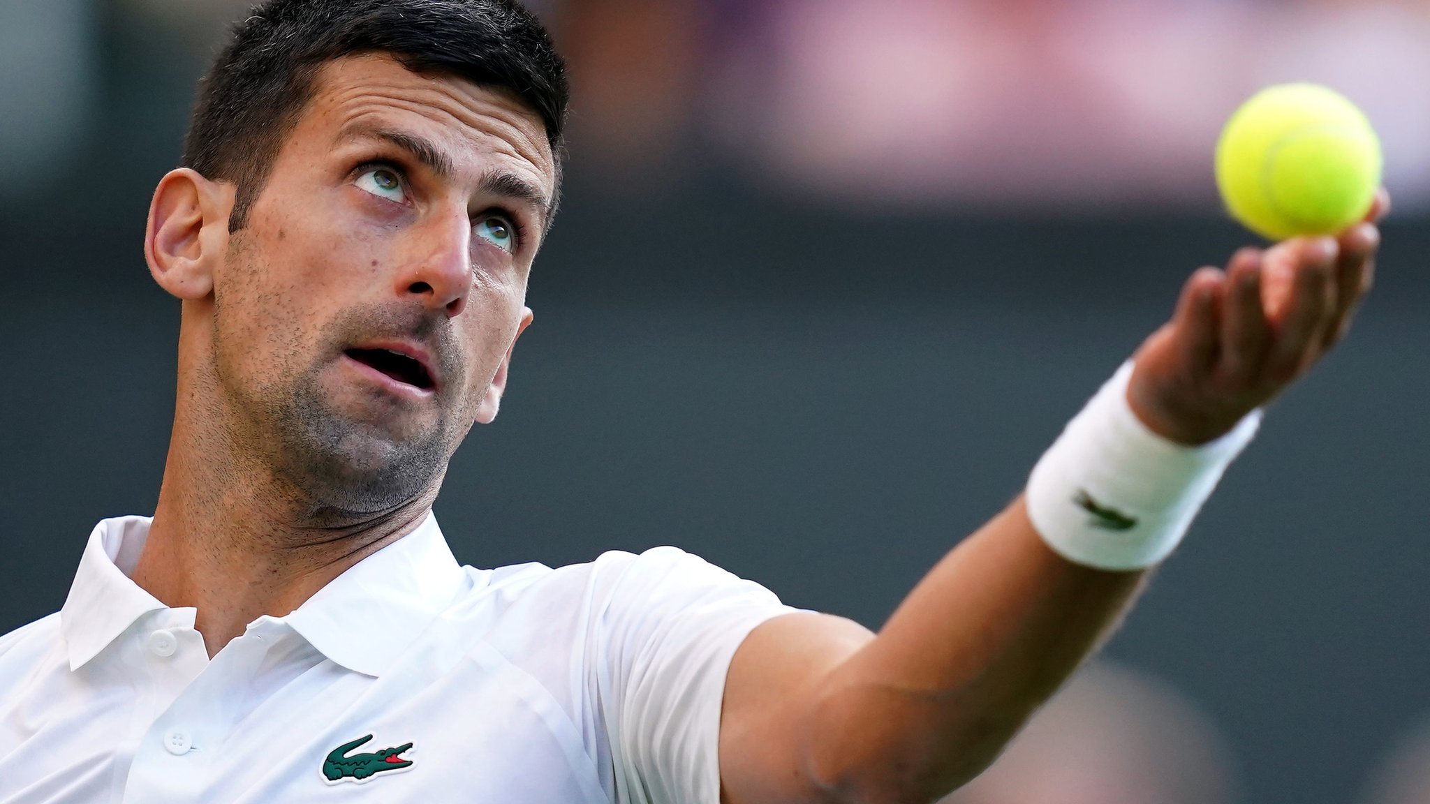 watch wimbledon live - bbc