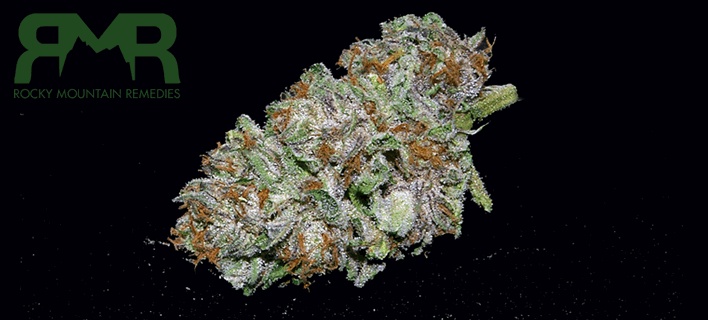 skunk strain allbud