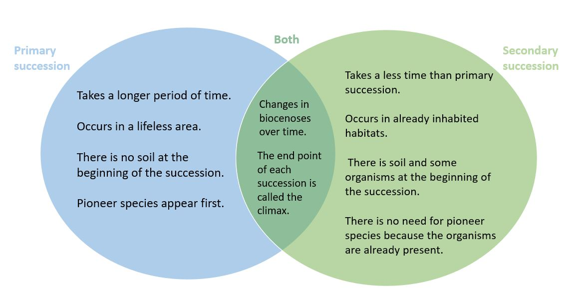 primary and secondary succession venn diagram