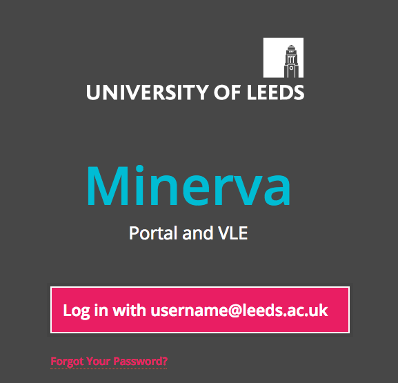 minerva leeds