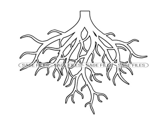 roots clipart