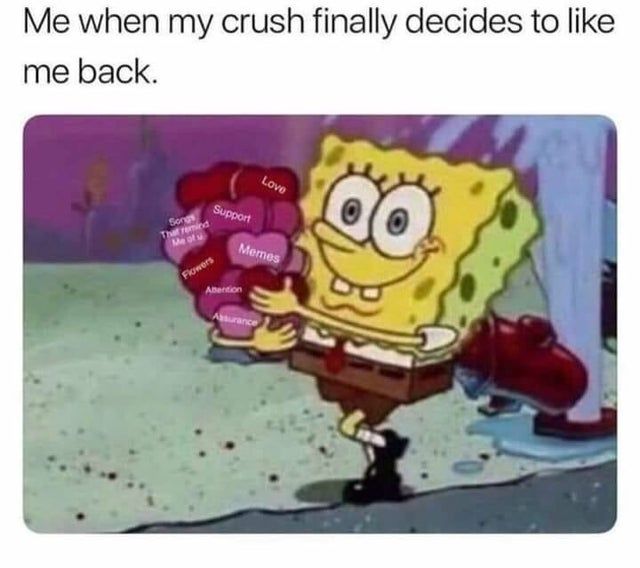 crush memes for her