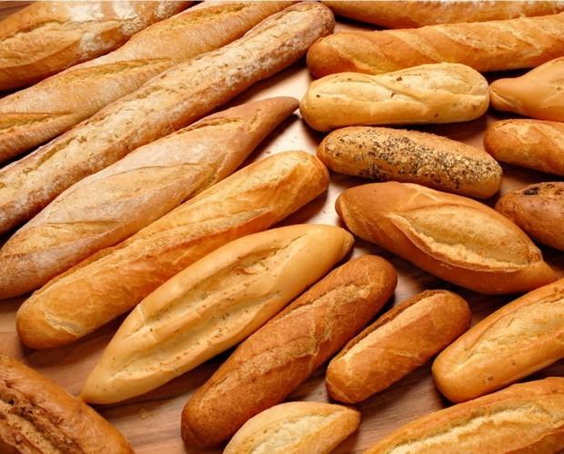 donde venden pan para baguette en guadalajara