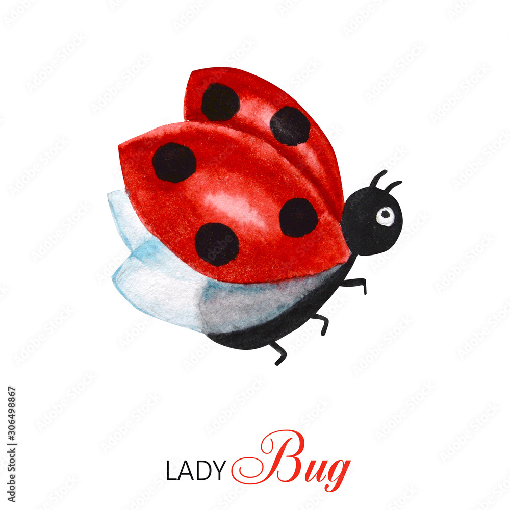 cartoon ladybug flying