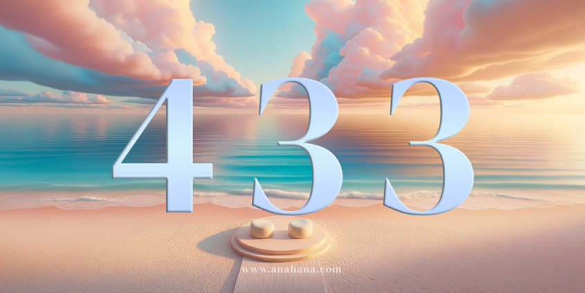 433 meaning twin flame