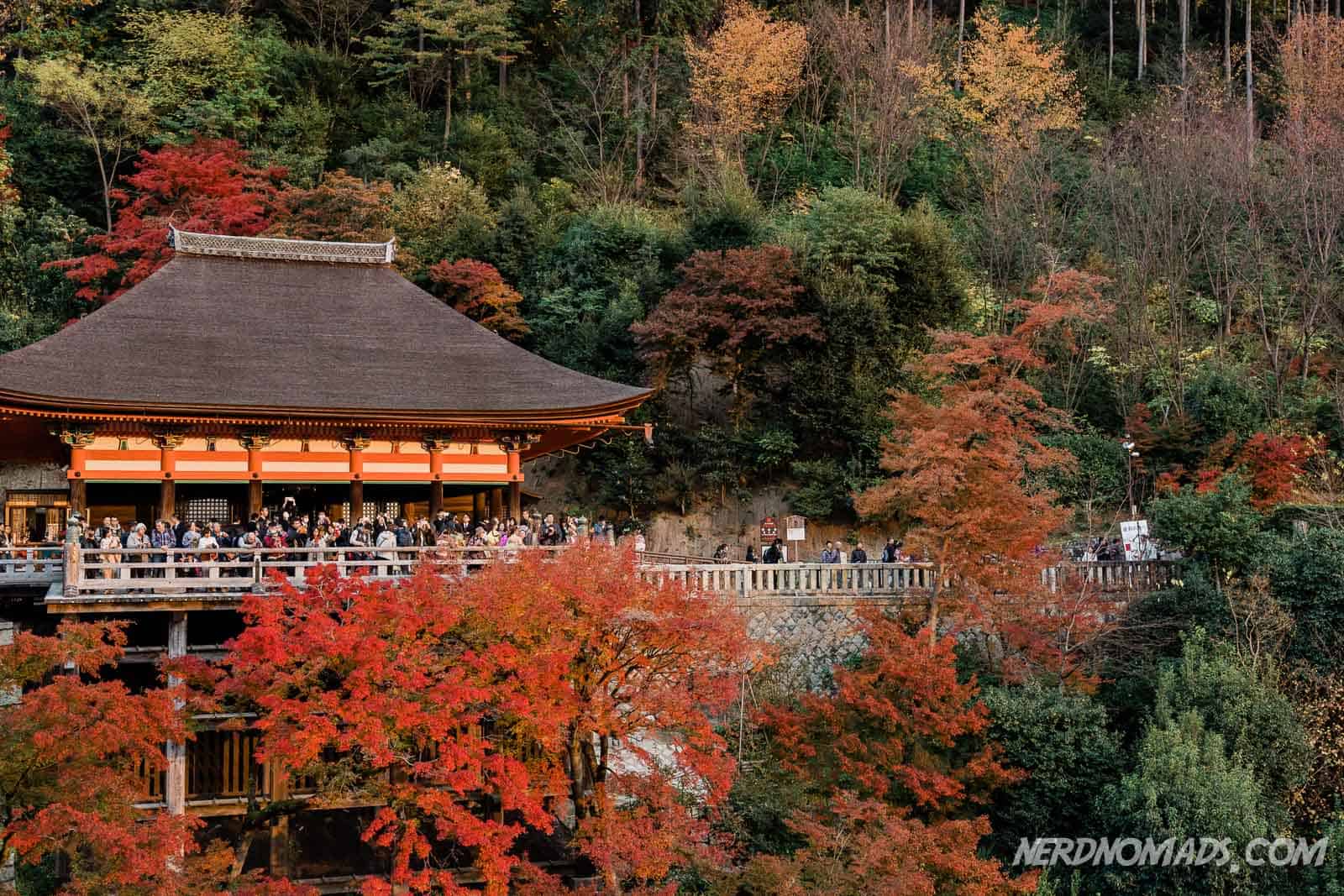 kiyomizu dera 8 cevapları