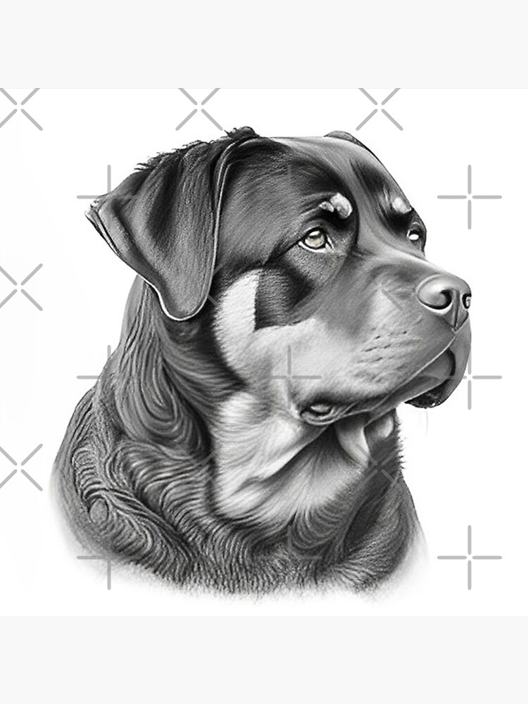 dibujos de rottweiler