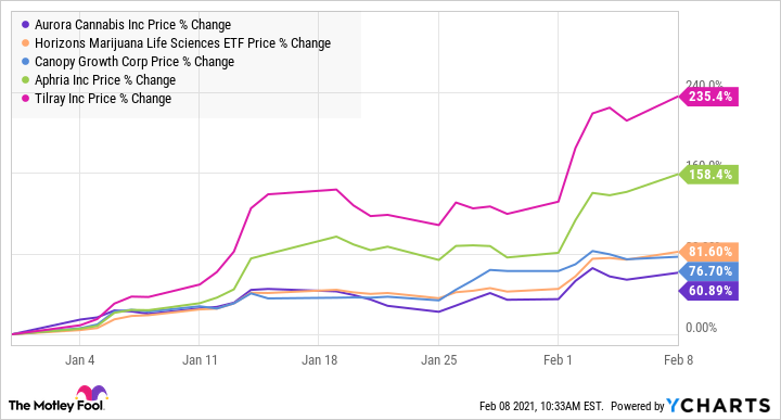 aurora cannabis stock