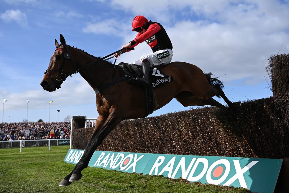 grand national live