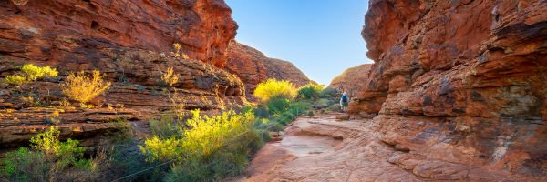 cheap flights to alice springs from adelaide