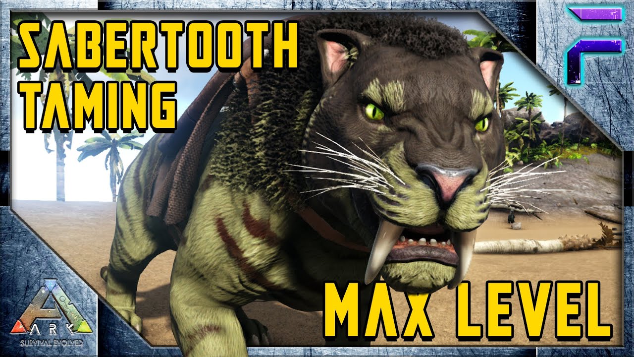 how to tame a sabertooth in ark