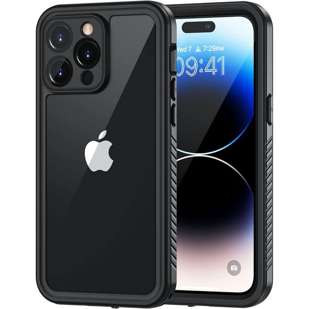 lanhiem case review