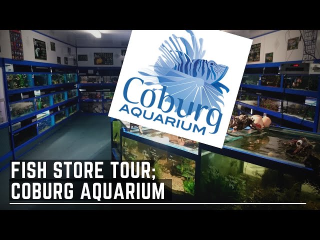 coburg aquarium