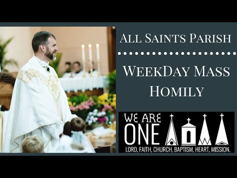 weekdays homily