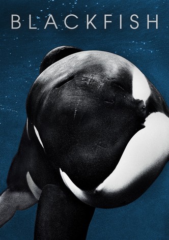 blackfish documentary watch online