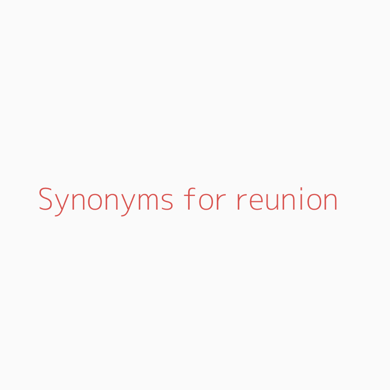 another word for reunion