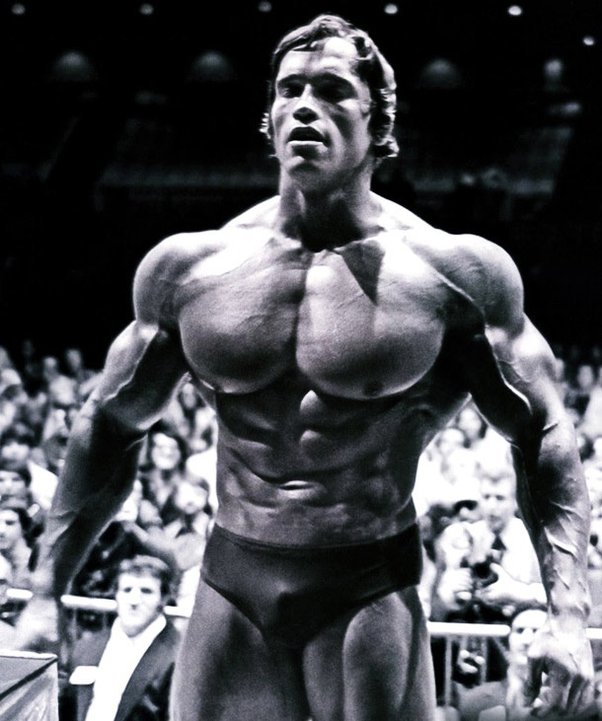 arnold prime weight