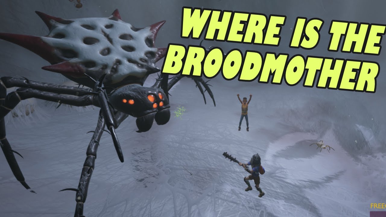 broodmother grounded