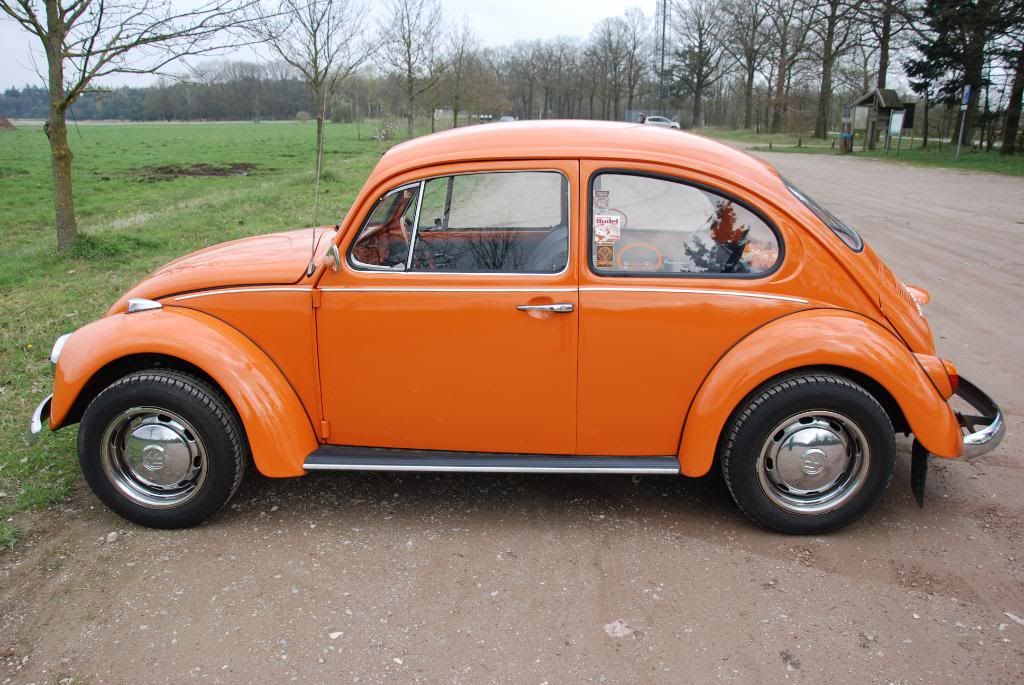 orange punch buggy