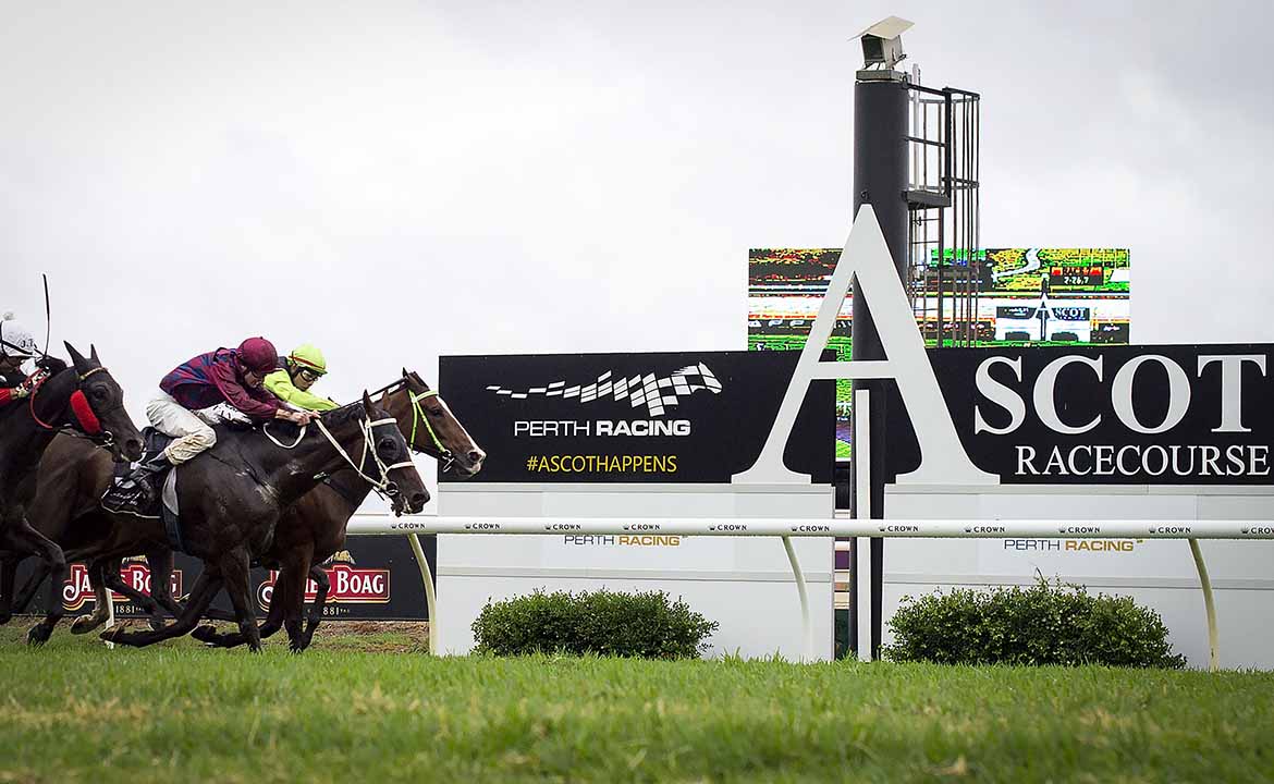 ascot australia race results