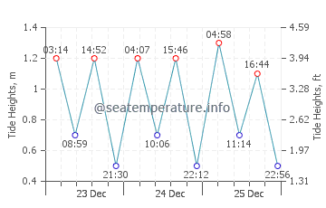 rose bay tides