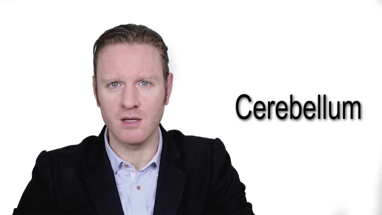 pronunciation of cerebellum