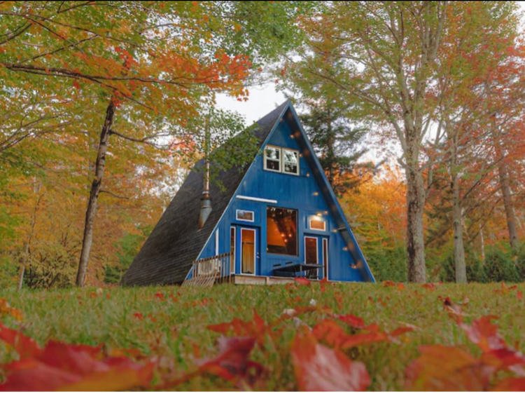 boston airbnbs