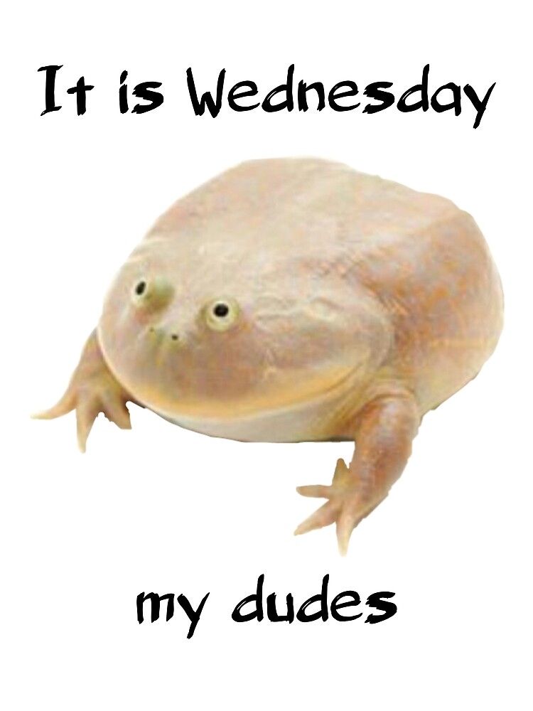 its wednesday my dudes frog