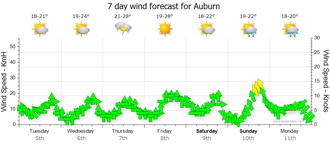 weather forecast auburn nsw