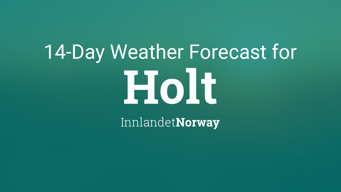 weather forecast holt