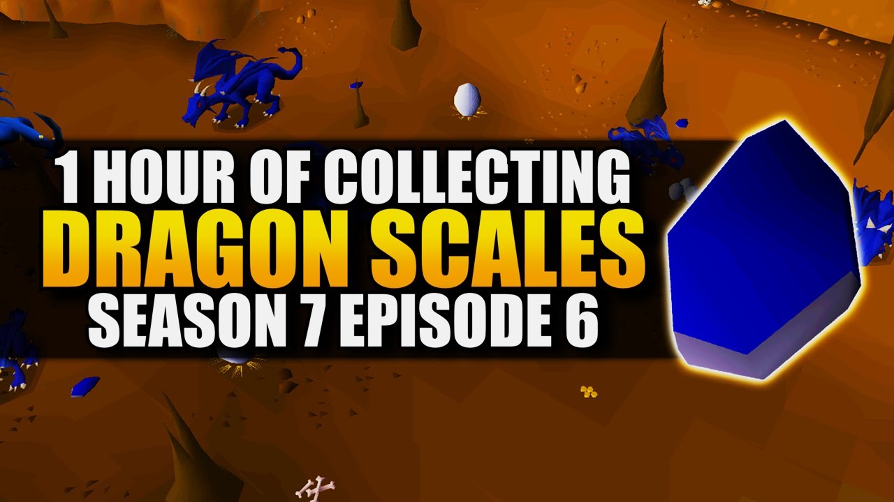 osrs blue dragon scale