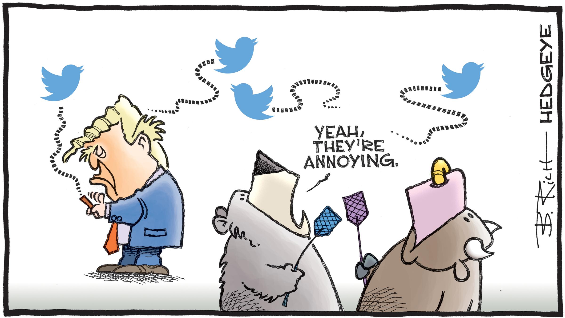 hedgeye twitter