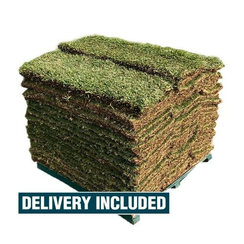 bunnings turf