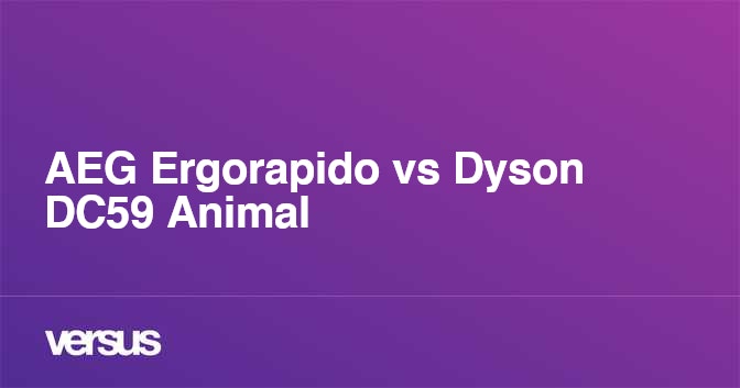 ergorapido vs dyson