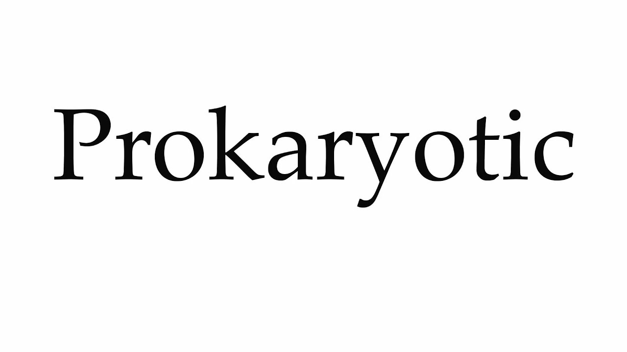 how to pronounce eukaryotic