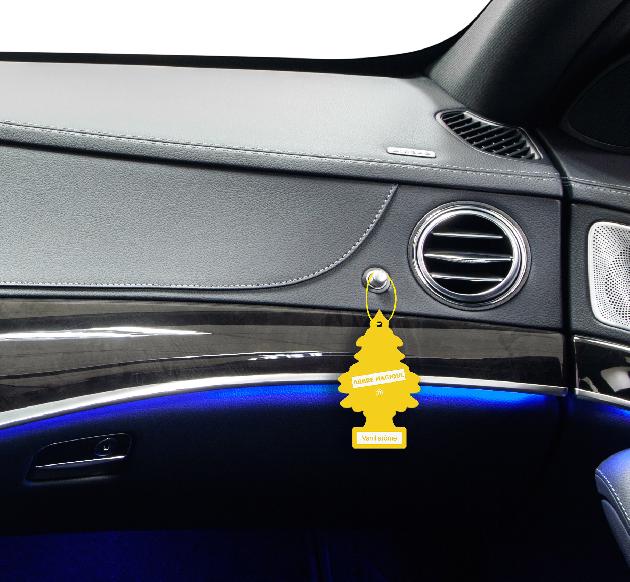 how to put little trees in car