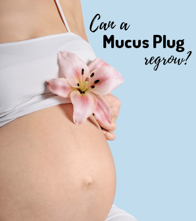 can mucus plug regenerate