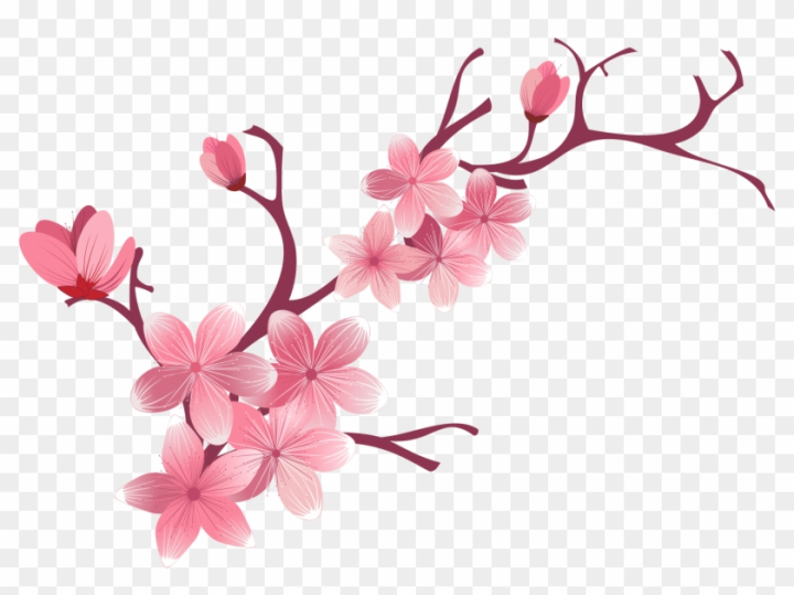 sakura flower png