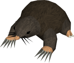 osrs giant mole