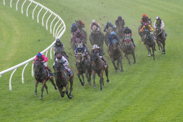 gold coast races saturday fields